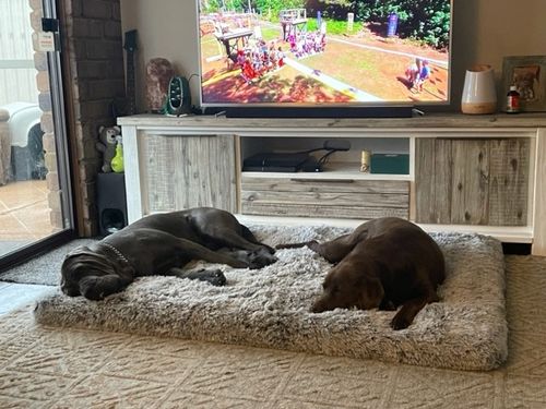 Customer photo review of PaWz  Multimat