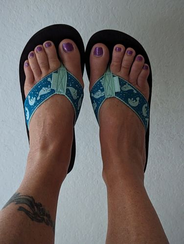 Customer photo review of Splashing Manatees