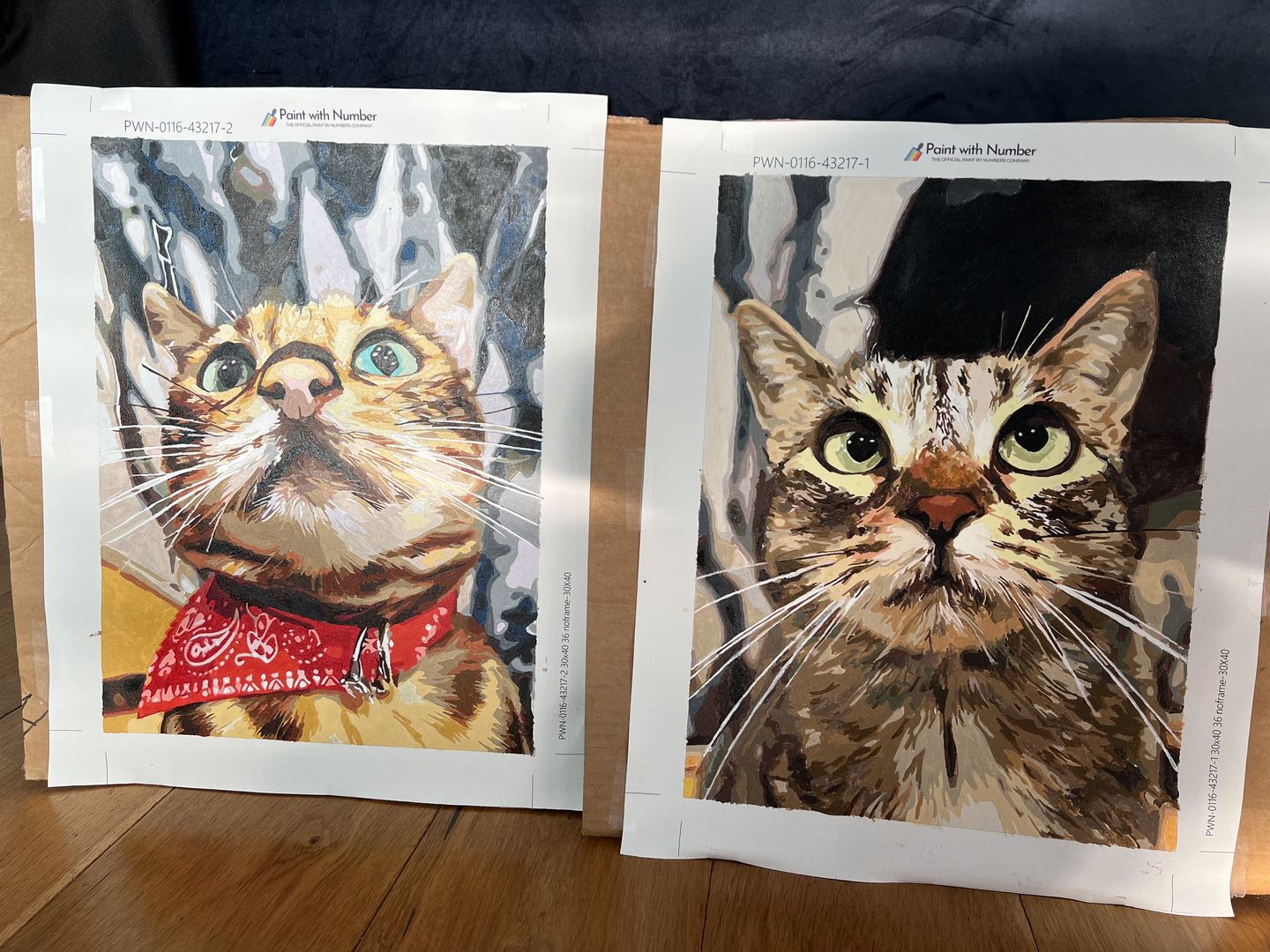 Customer photo review of Paint with Number™ Custom Kit