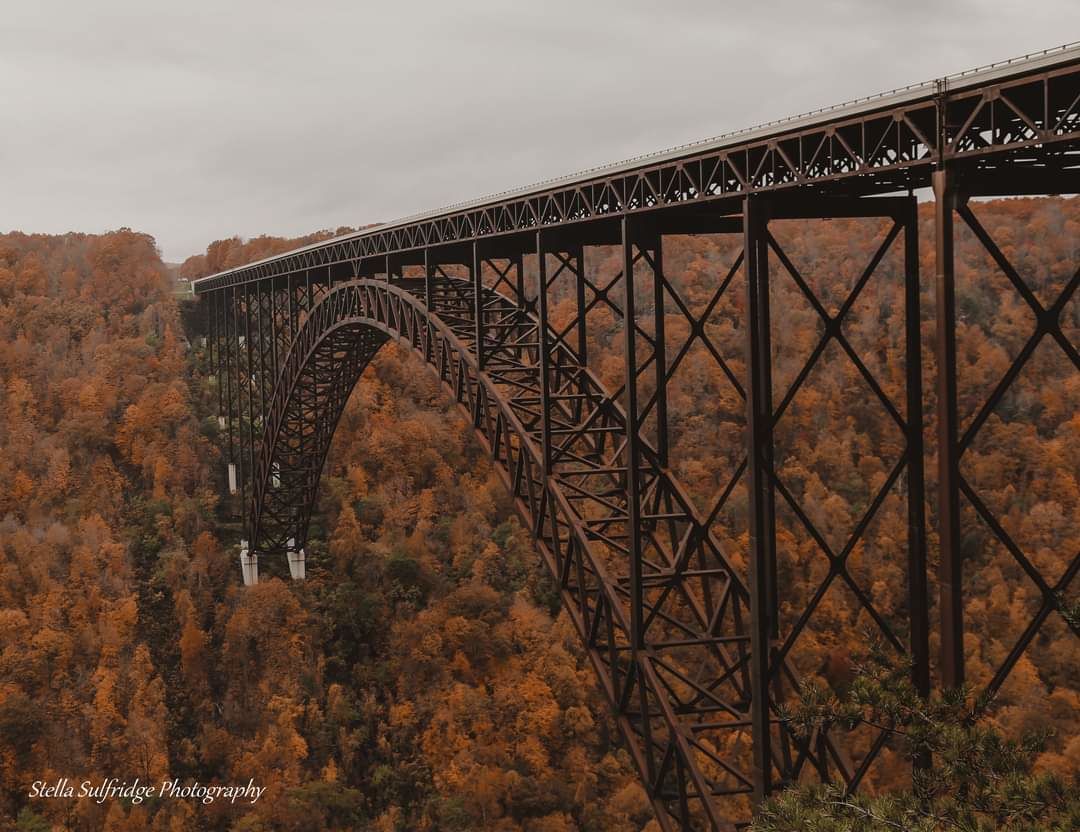 Customer photo review of The Rustic Autumn Preset Collection