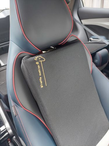 Customer photo review of Giraffe Cushion