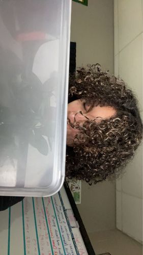 Customer photo review of Temporary Hair Color Gel - Bronze Beauty