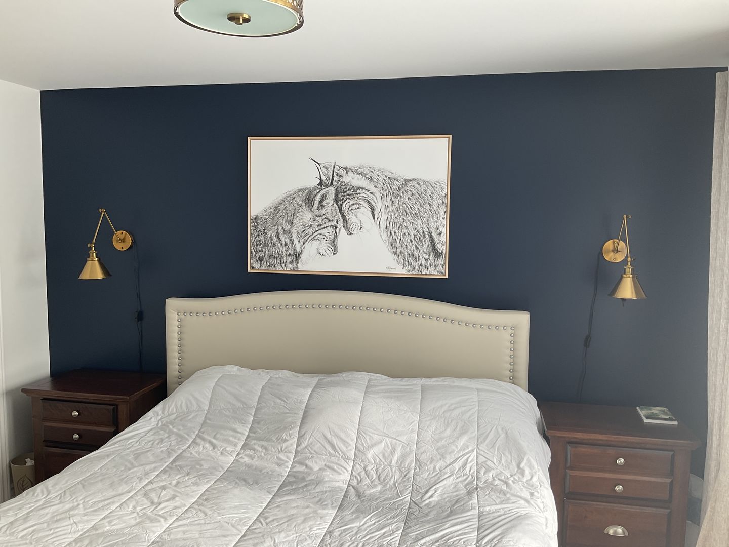 Customer photo review of Lynx in love illustration - "Social Animal" Collection