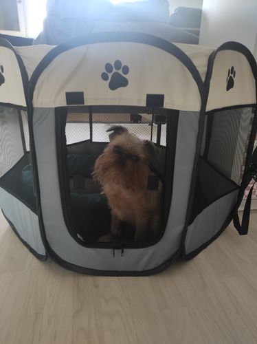 Customer photo review of Hordozható Kutya és Kisállat járóka, Kennel