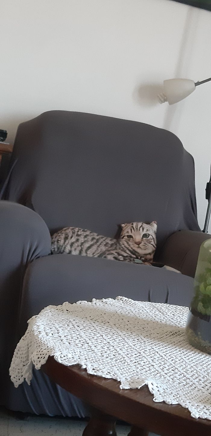 Customer photo review of Gris anthracite - Housses Extensibles de Fauteuil et Canapé