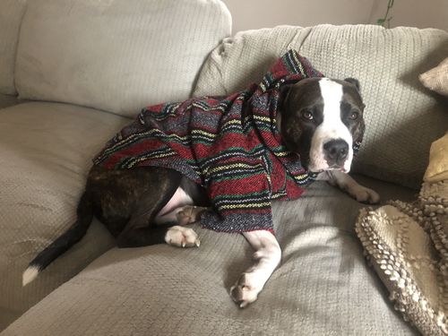 Customer photo review of Playa Poncho - Surprise Color