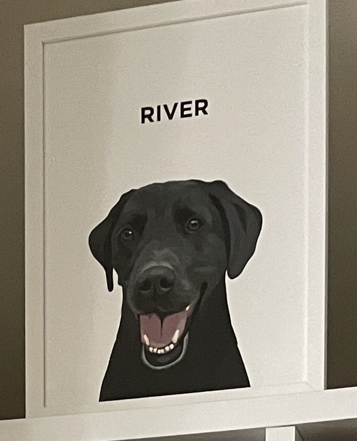 Customer photo review of Custom Pet Portrait (Framed)