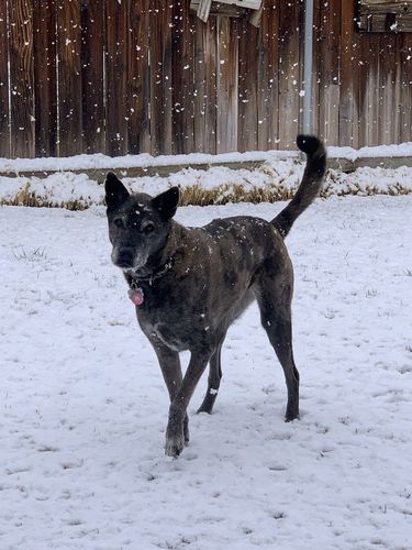 Customer photo review of Pink