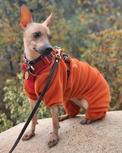 Customer photo review of Red Silicone