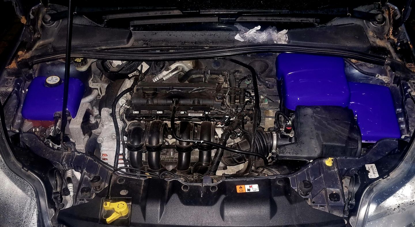 Customer photo review of Proform Dress Up Kit (various colours) - Mk3/3.5 Ford Focus