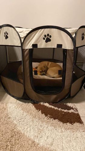 Customer photo review of Hordozható Kutya és Kisállat járóka, Kennel