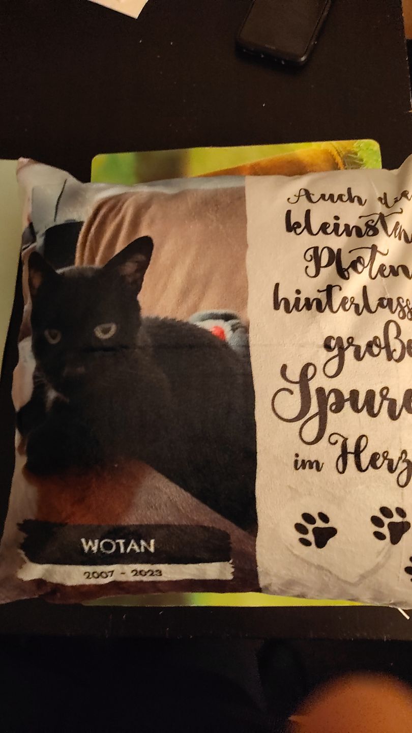 Customer photo review of Die kleinsten Pfoten - Individuelles Kissen