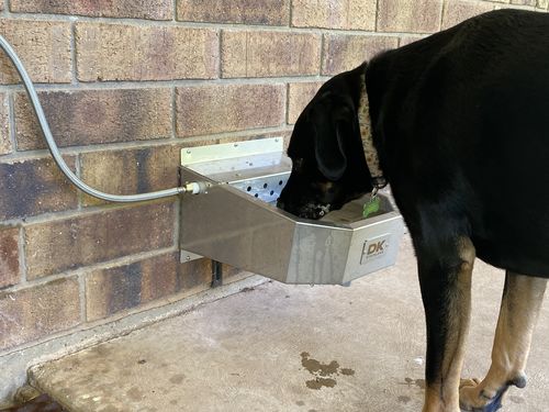 Customer photo review of Pet Rehydration Station