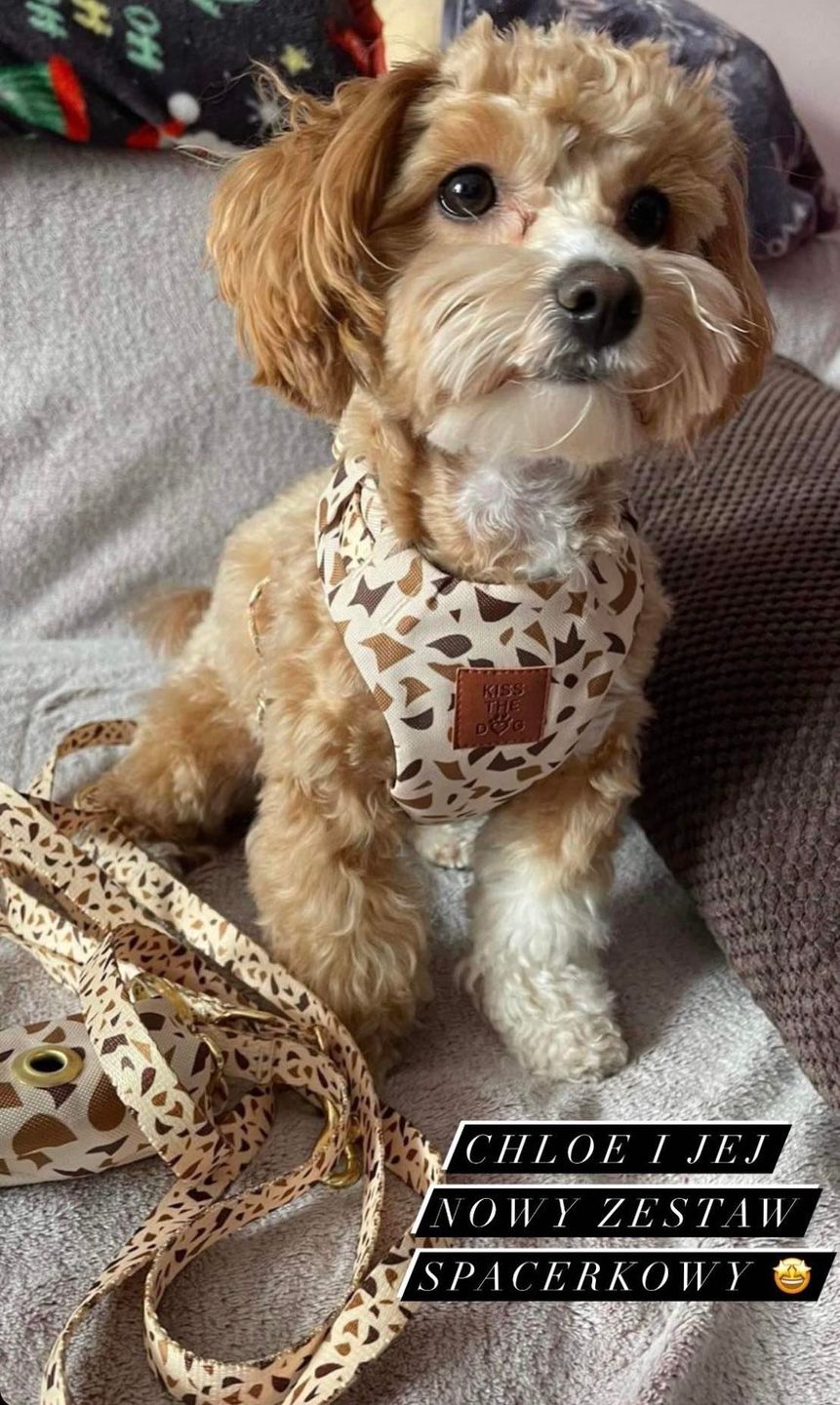 Customer photo review of Etui na kupoworki "Beige Terrazzo"
