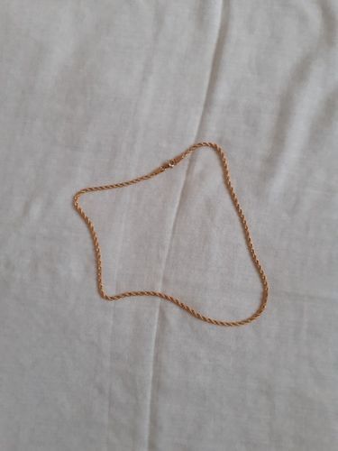 Customer photo review of 18K Gold Rope Chain (3mm - 8mm)