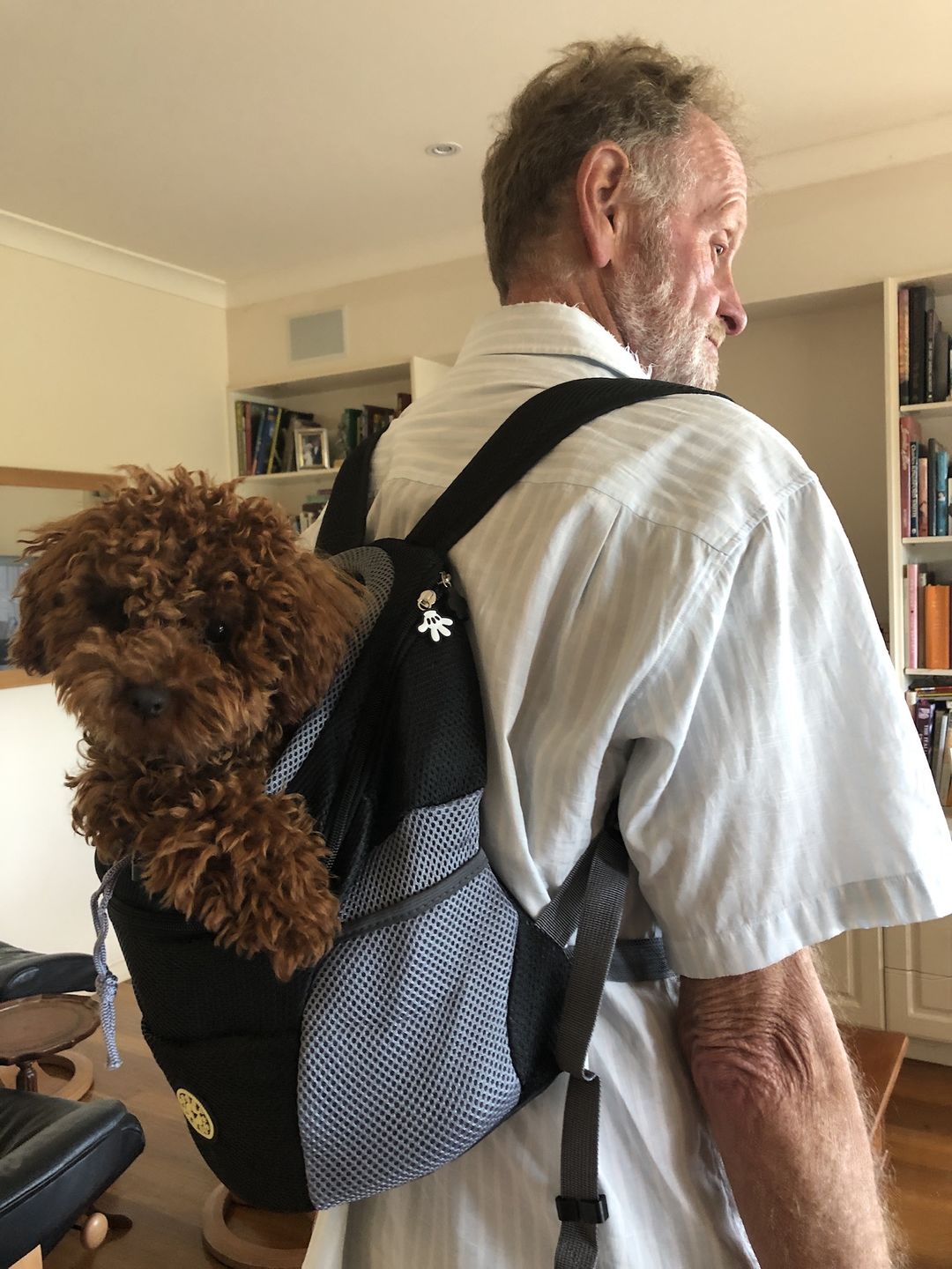 Customer photo review of Dog Backpack