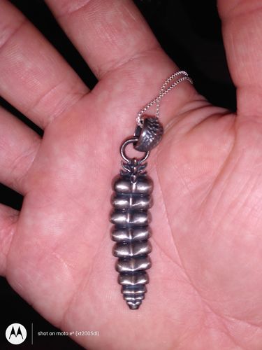 Customer photo review of Rattlesnake Tail Pendant