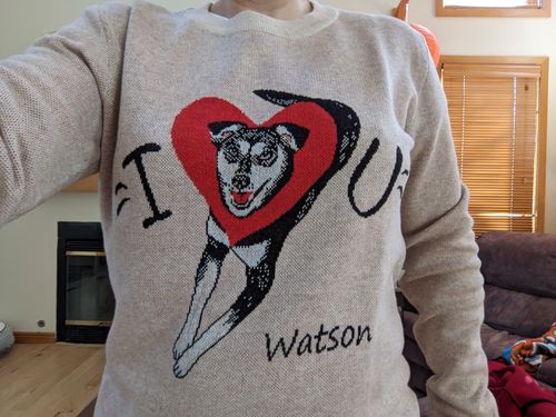 Customer photo review of I Love You, Hooman Custom Knit Sweater