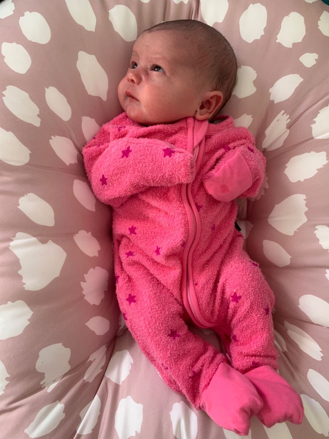 Customer photo review of Cushii Lounger Marula - Blush