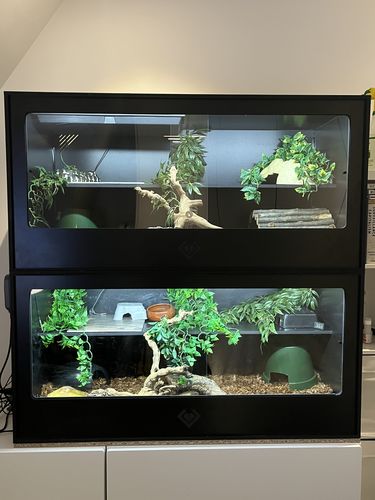 Customer photo review of XT4 BIO (48Lx24Dx24H) - STACKABLE