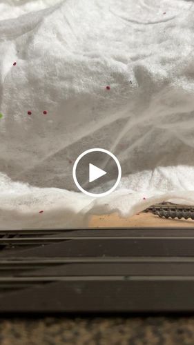 Customer video review of BLI 7227 N&W Y6b 2-8-8-2, #2171, N&W Maroon, 22i tender, Paragon4 Sound/DC/DCC, N (Fantasy Paint Scheme)