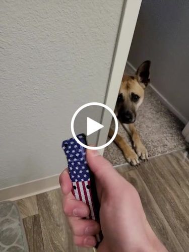 Customer video review of PATRIOT