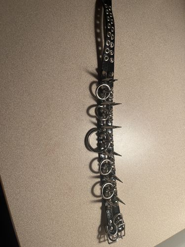 Customer photo review of Switch Collar