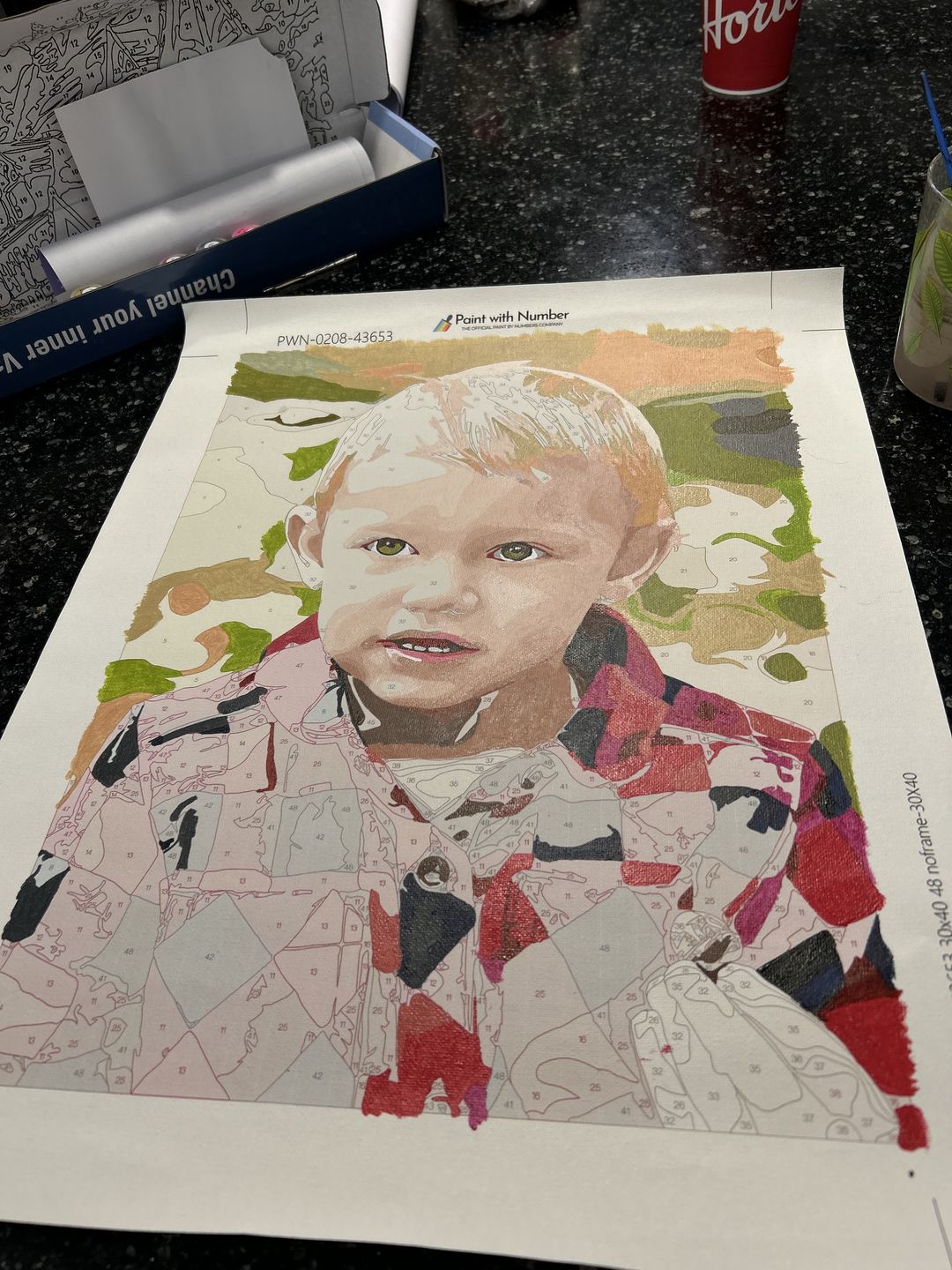 Customer photo review of Paint with Number™ Custom Kit
