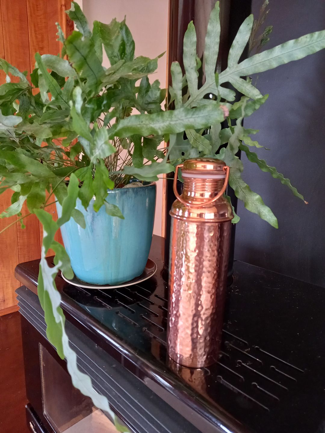 Customer photo review of Copper Water Bottle