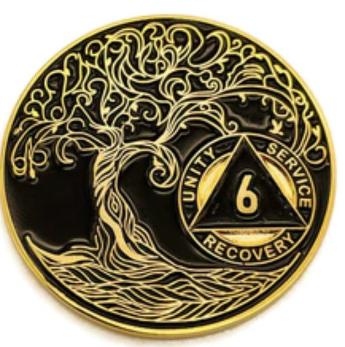 Customer photo review of 6 Year Sobriety Mint Twisted Tree of Life Gold Plated AA Recovery Medallion - Six Year Chip/Coin - Black