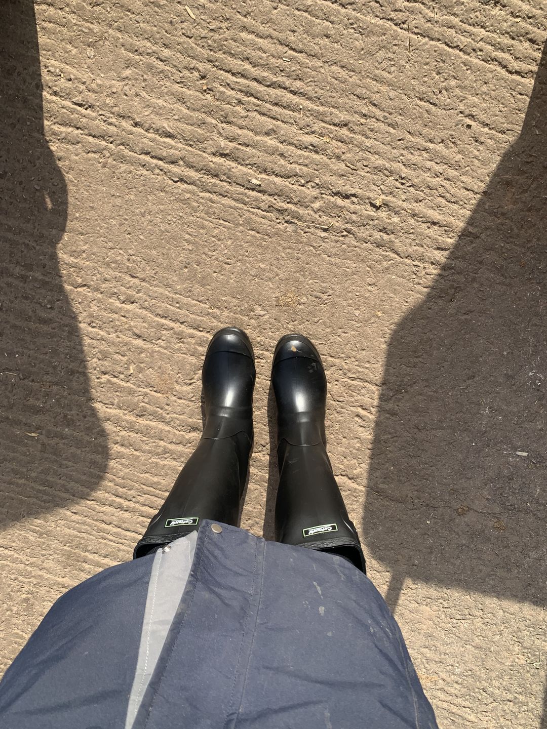 Customer photo review of Sandringham Wellingtons Black