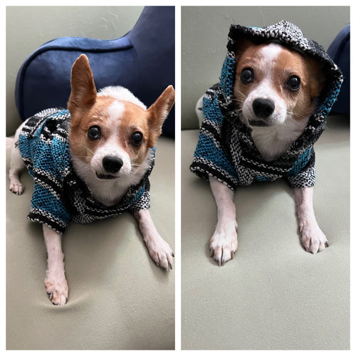 Customer photo review of Playa Poncho - Surprise Color