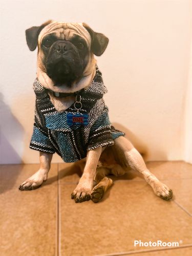 Customer photo review of Playa Poncho - Surprise Color