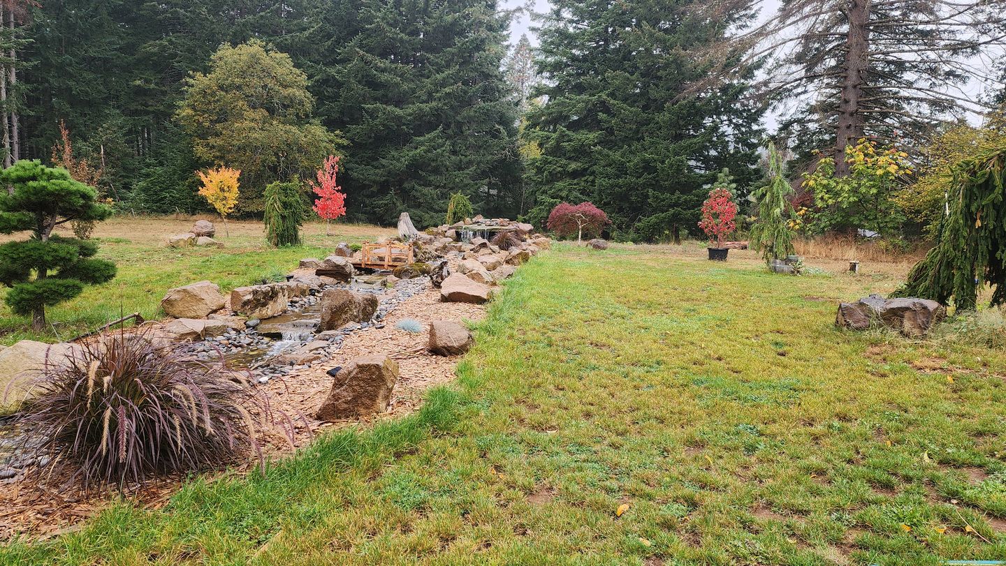 Customer photo review of Dolphin Series Ultimate Large Pondless Waterfall with 20' Steam Kit