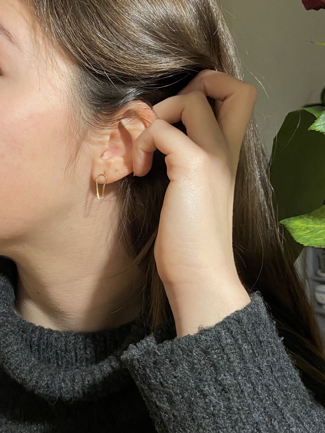 Customer photo review of Rainbow Earrings