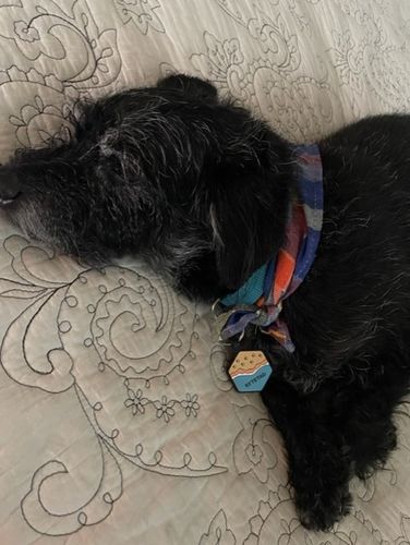 Customer photo review of Beach Silicone