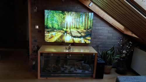 Customer photo review of Leuchtbild | Sonniger Wald | Querformat