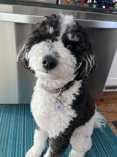 Customer photo review of Explorer