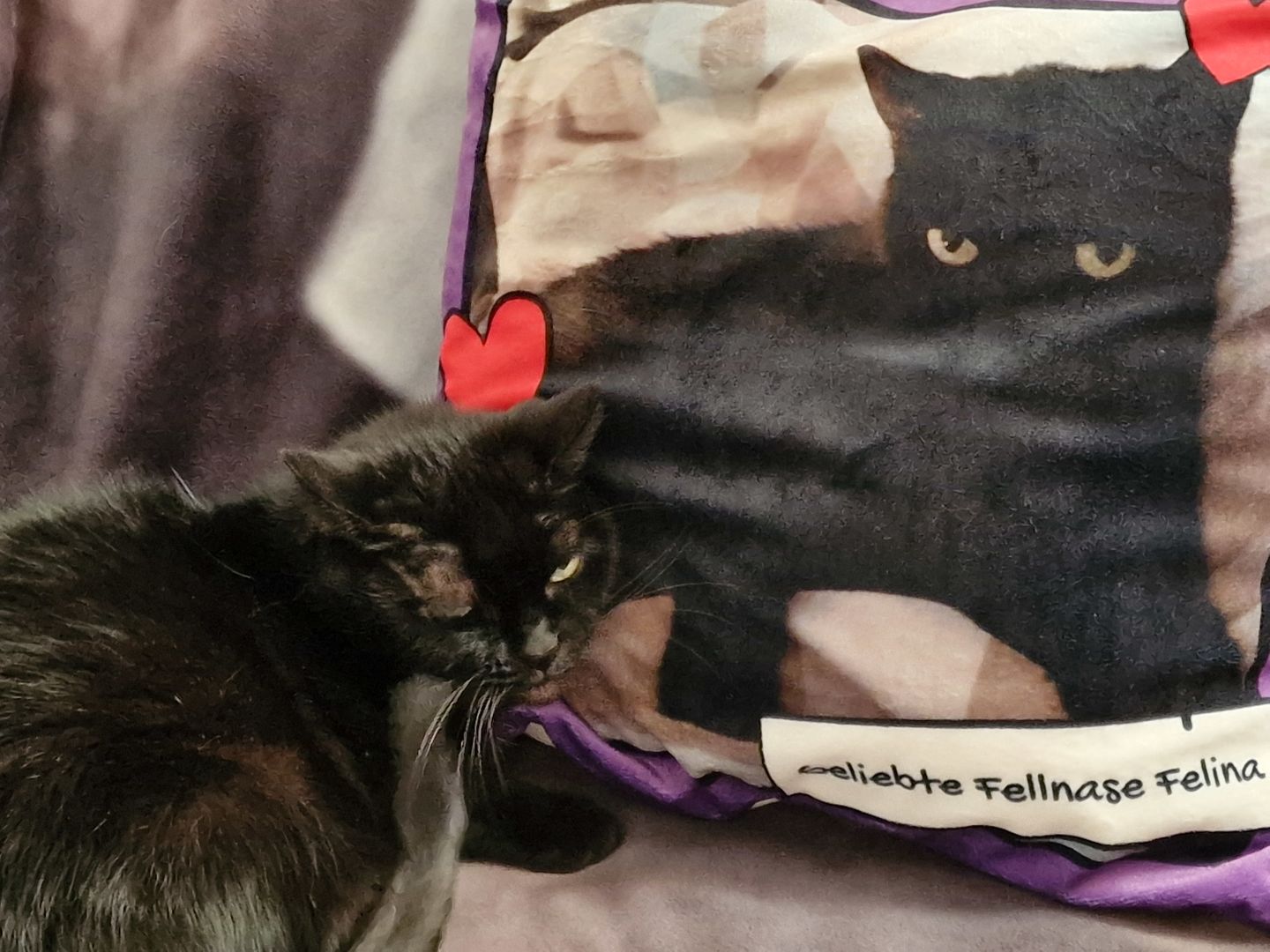 Customer photo review of Fotokissen mit Herzchen - Individuelles Kissen