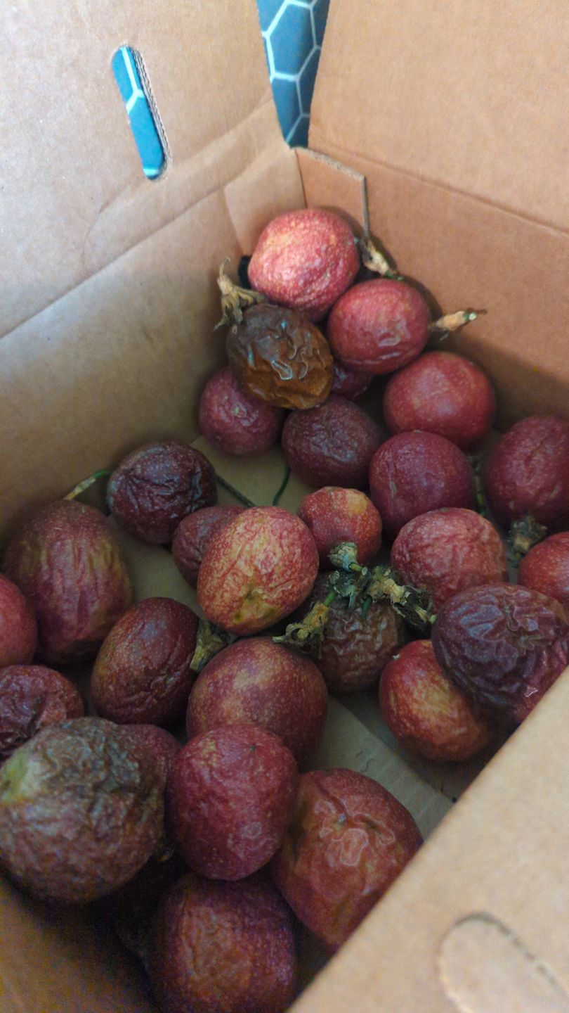 Customer photo review of Purple/Pink Passionfruit (Lilikoi) Box