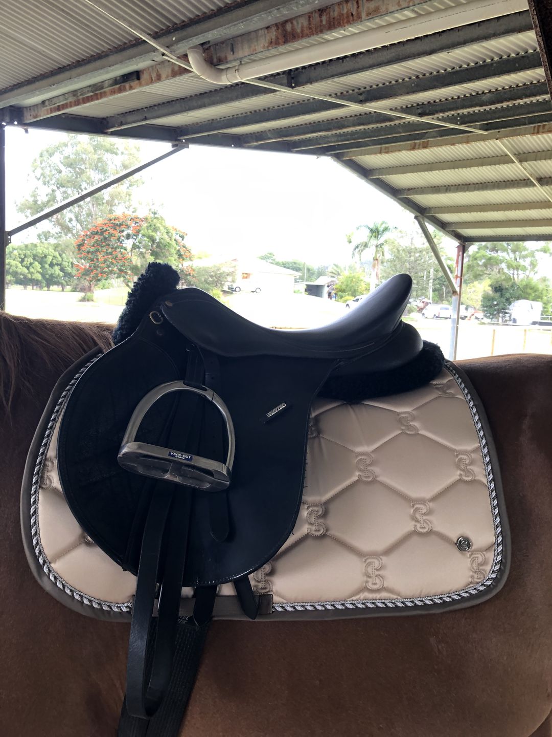 Customer photo review of PSOS Jump Pad Signature, Light Sand