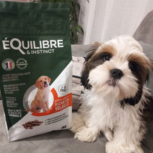 Customer photo review of Croquettes de volaille riches en ingrédients frais (chiot)