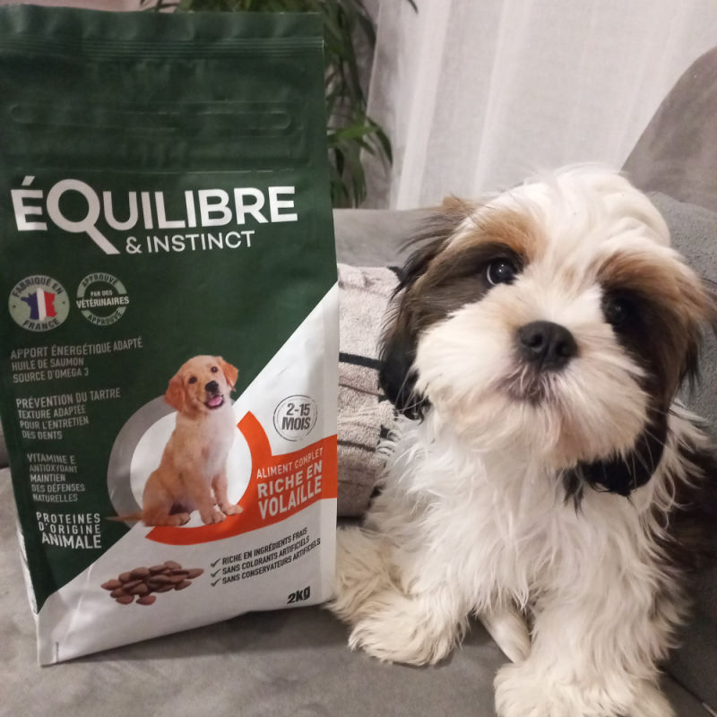 Customer photo review of Croquettes de volaille riches en ingrédients frais (chiot)