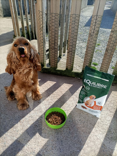 Customer photo review of Croquettes de volaille riches en ingrédients frais (chiot)