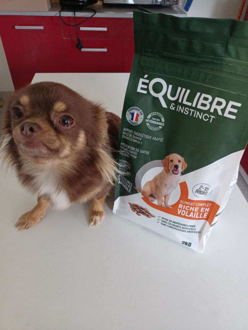 Customer photo review of Croquettes de volaille riches en ingrédients frais (chiot)