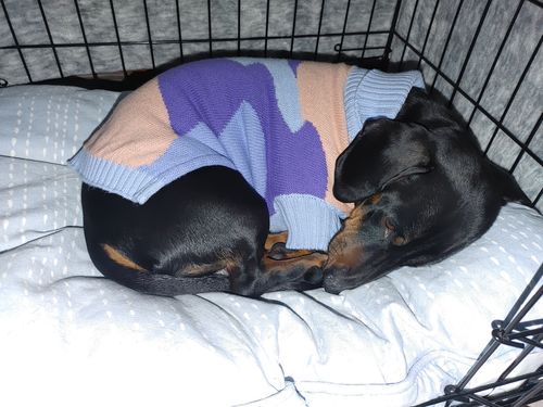 Customer photo review of Groovy sweater