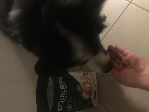 Customer photo review of Croquettes de volaille riches en ingrédients frais (chiot)