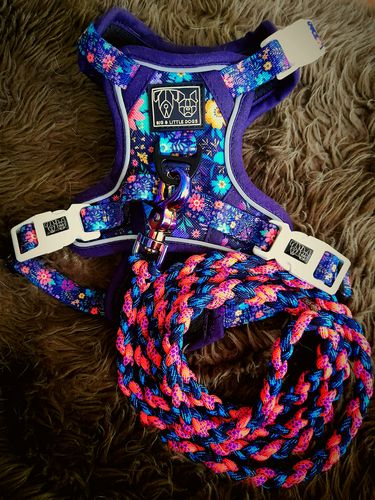 Customer photo review of Tropical Sunset Paracord
