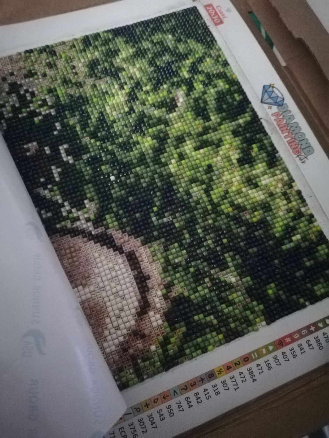 Customer photo review of Diamond Painting Personnalisé
