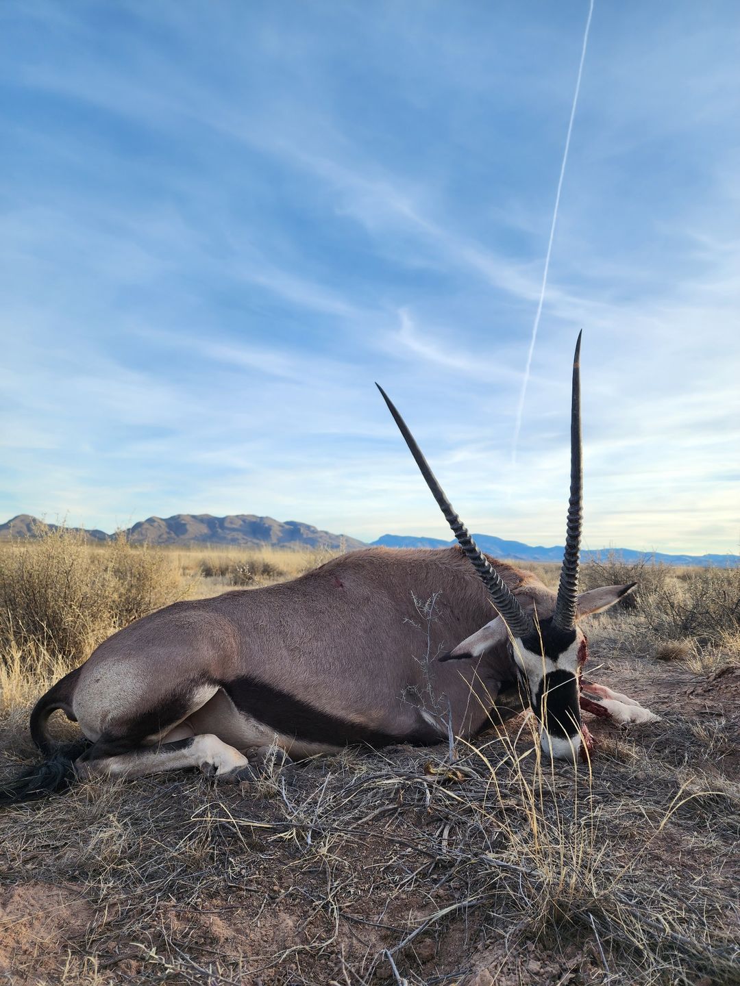 Customer photo review of The Burro Duffel